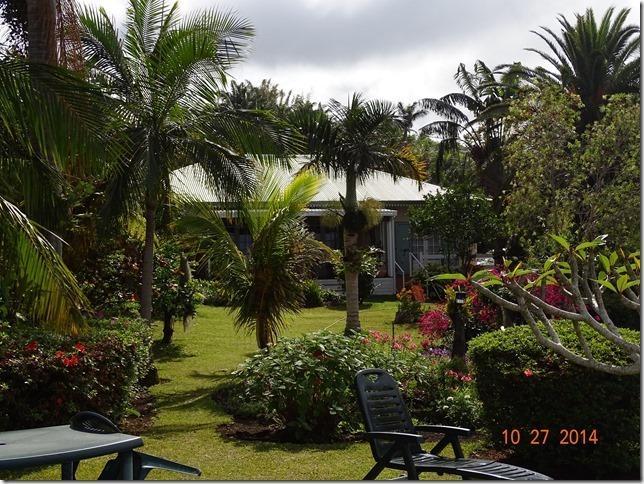 Chez Mamie Bed & Breakfast Les Avirons Exterior foto